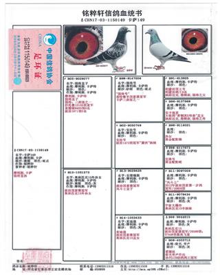 Ѫy(tng)