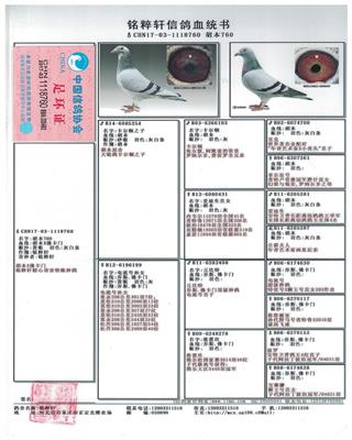 Ѫy(tng)