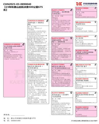 血統(tǒng)書