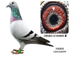 ֱŮ