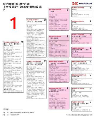 Ѫy(tng)