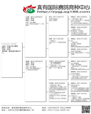 Ѫy(tng)