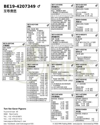 Ѫy(tng)