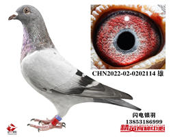父亲