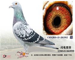 母亲