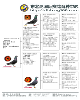 Ѫy(tng)