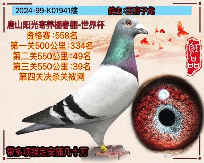 北京王付府子龙