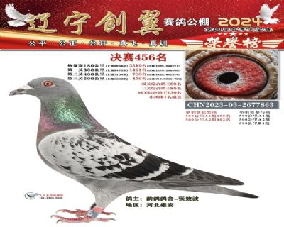 (chung)456