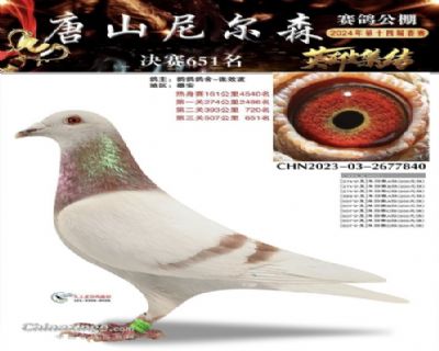 ᠖ɭ651