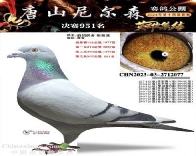 ᠖ɭ951