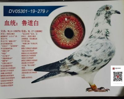 (jng)?sh)?></a></td></tr></table>
                               <div   id=