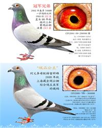 游ĸ