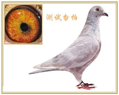 ղɭһ���ֹ�.