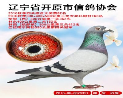 ɭ̖(ho)