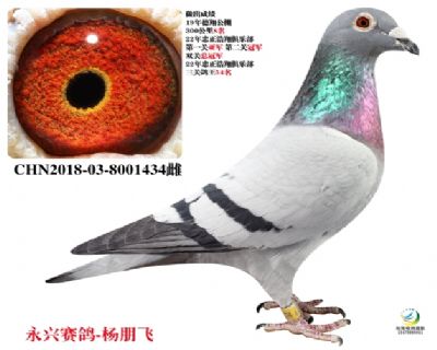 û