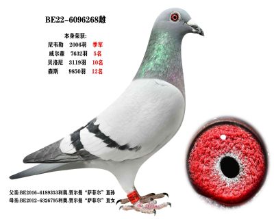 ĸض