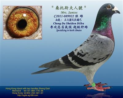 ̩xϵҠ͡Ѫ