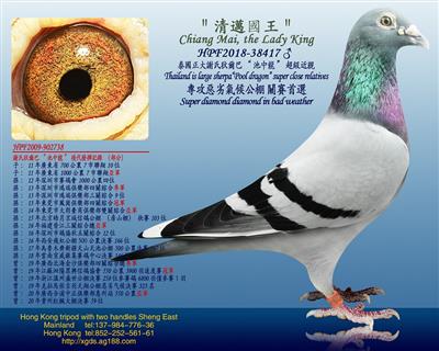 ̩xϵҠ͡Ѫ