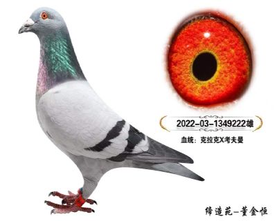 222