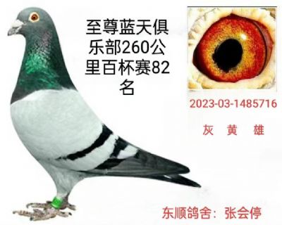 716