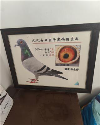 500