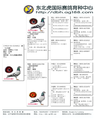 Ѫy(tng)