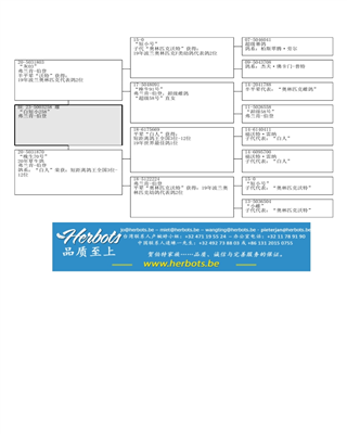 Ѫy(tng)(sh)
