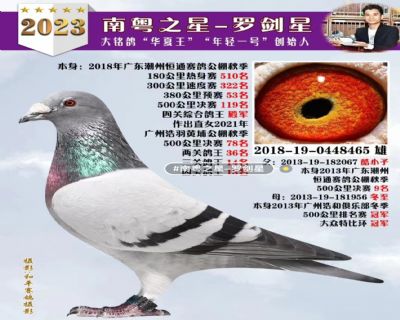޽