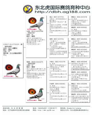 Ѫy(tng)
