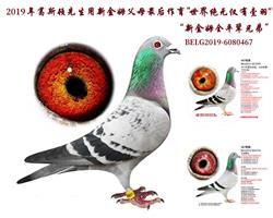 HƬ