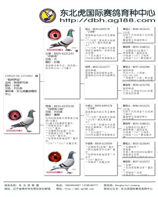 Ѫy(tng)