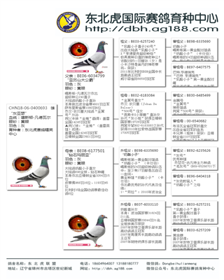 Ѫy(tng)