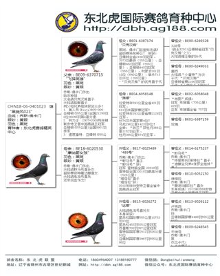 Ѫy(tng)(sh)