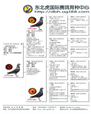 Ѫy(tng)