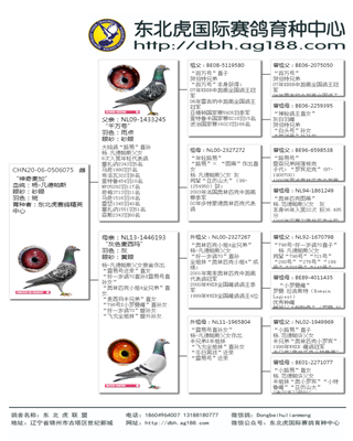 Ѫy(tng)