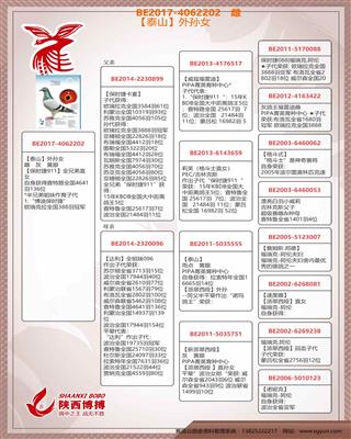 血統(tǒng)書