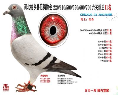 7006