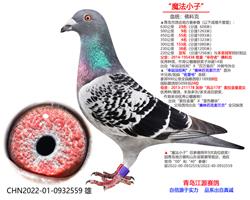 ȫͬ֡ħСӡ