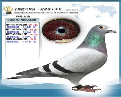 奶酪金母