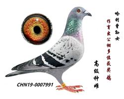 ĸHƬ
