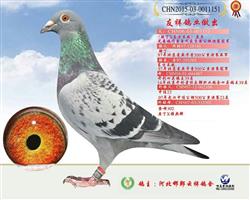 游