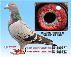 母亲