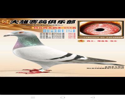 ˡw-24@(jing)