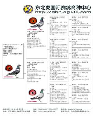 Ѫy(tng)
