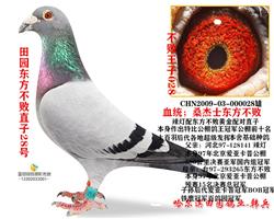 游