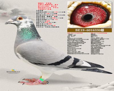 Ұֱ