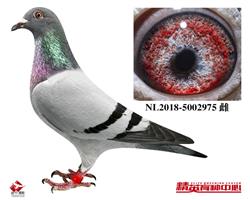 ĸH
