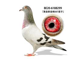 446