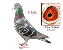 游ķԭ