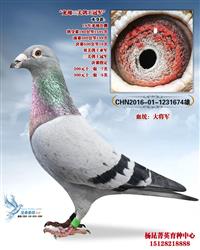 游
